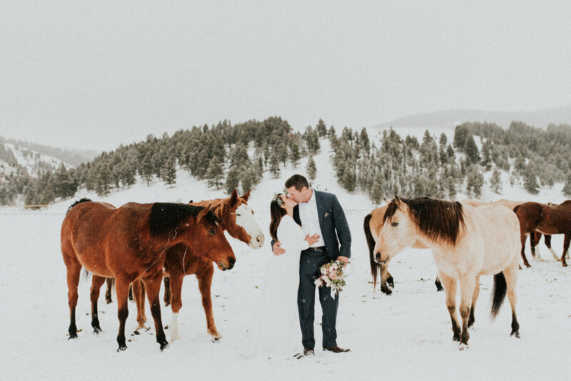 A bride and groom kiss one another with a hand wrapped around one another in a snowy horse pasture