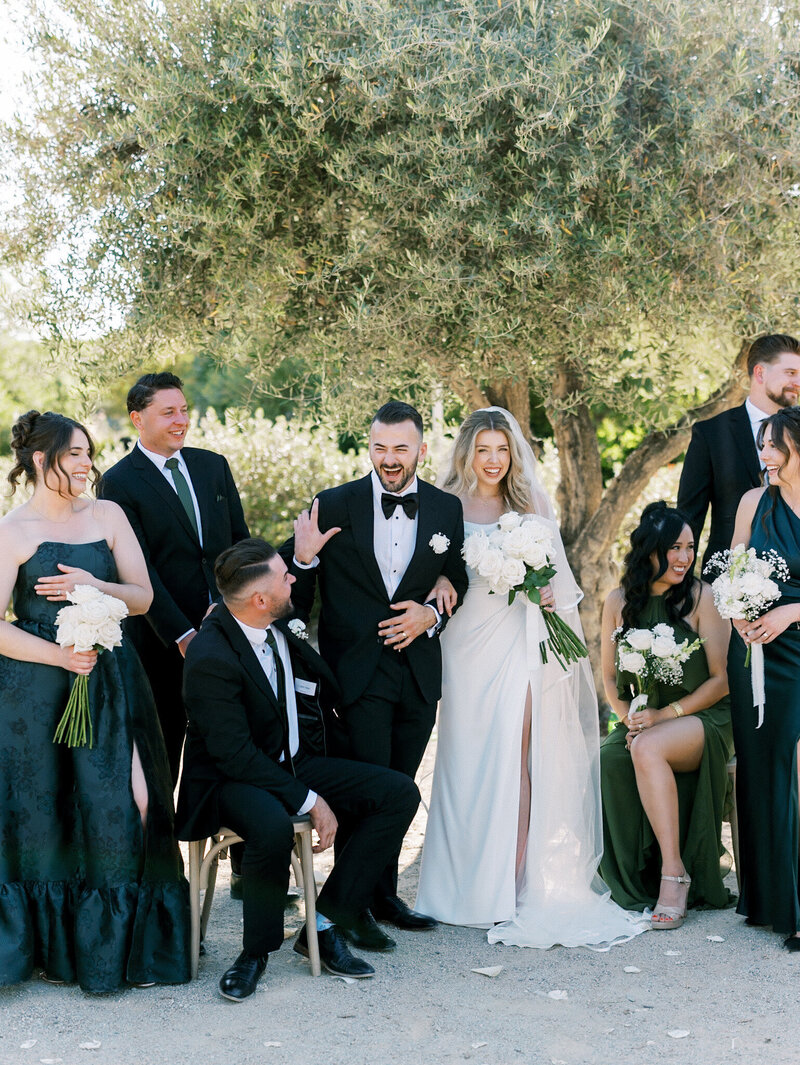 Bride and groom with their groomsmen and bridesmaids at Niner Winery Estates, a luxury wedding venue