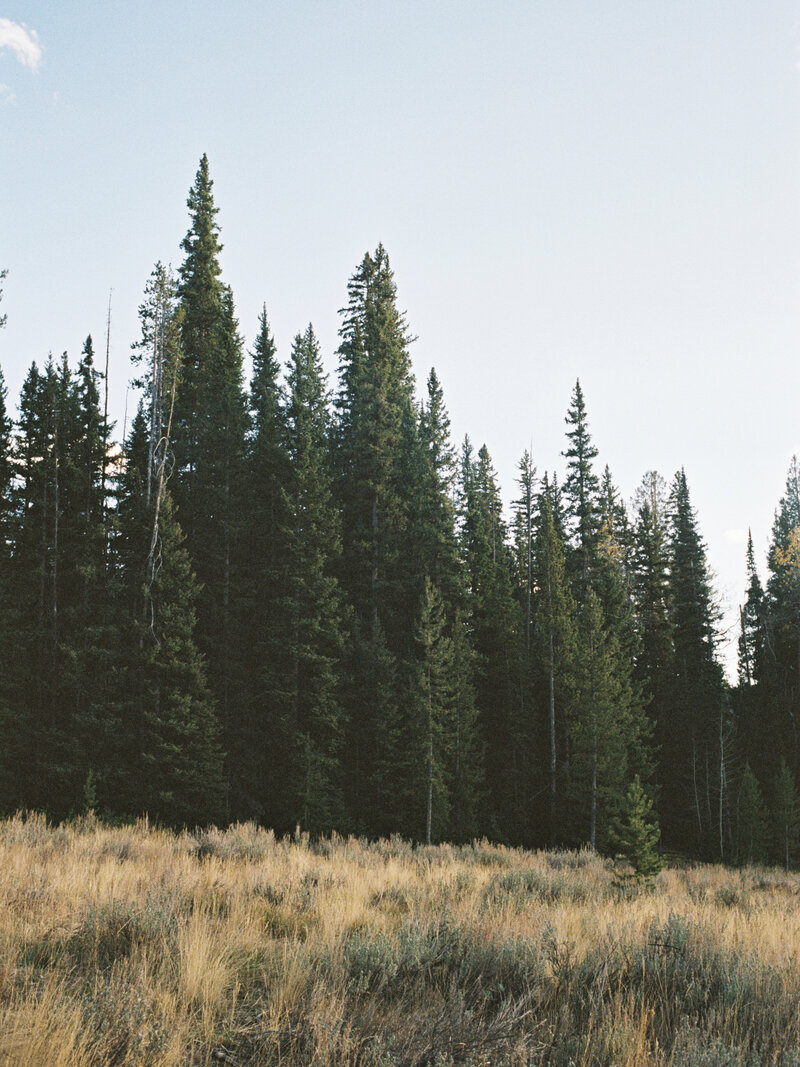 Idaho Wedding Photographer (3 of 293)