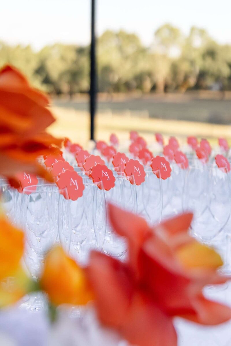 Alexa&JakeEngagementStyling-96