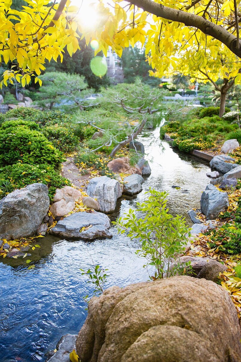 Japanese Friendship Garden Phoenix Wedding Venue_04