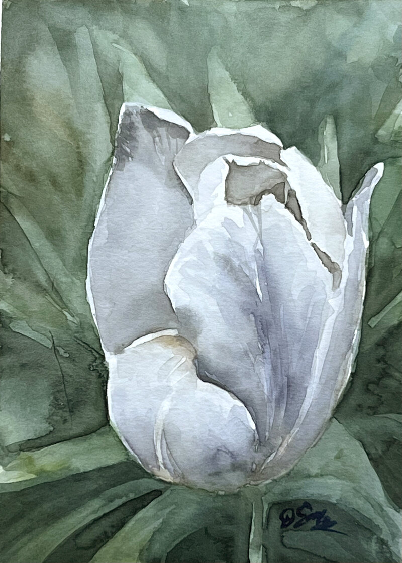Gustavis-watercolor-demo-tutorial-White-Tulip