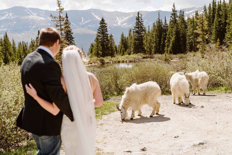 Breckenridge, Colorado elopement photographer and videographer contact
