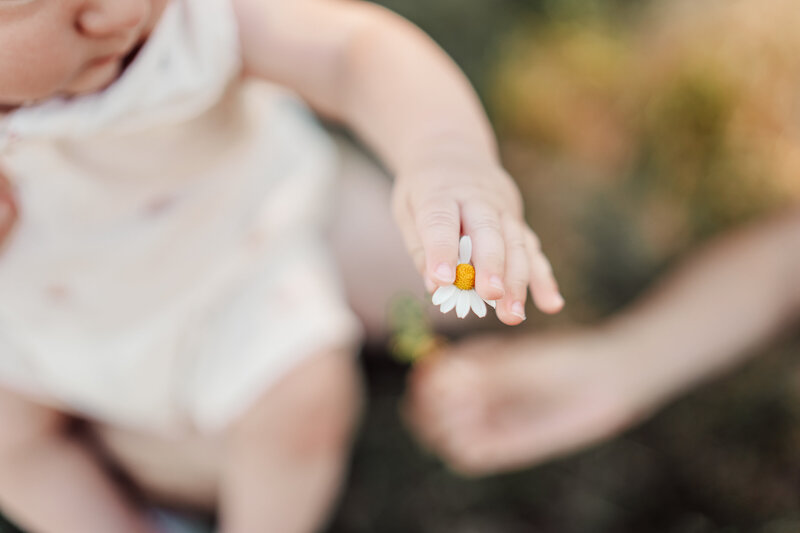Portland-Family-and-Baby-Photos-Outdoors-Sauvie-Island-Portland-93