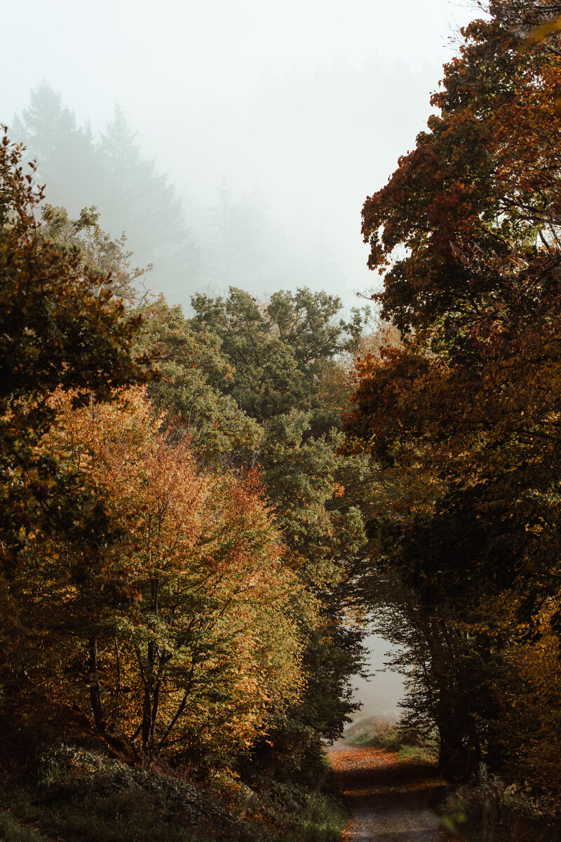 JolijnGommansPhotography_WilderlandsoftheArdennes_okt2025