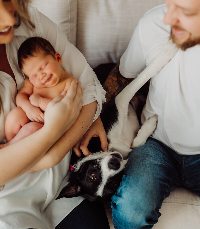 Kentucky Studio Newborn Photographer