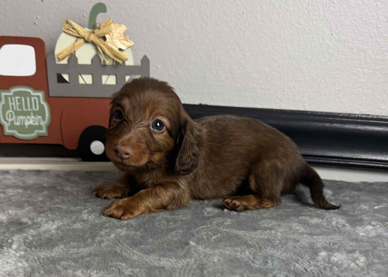 40620a49-b6b2-48f0-a9aa-1248a69425b6