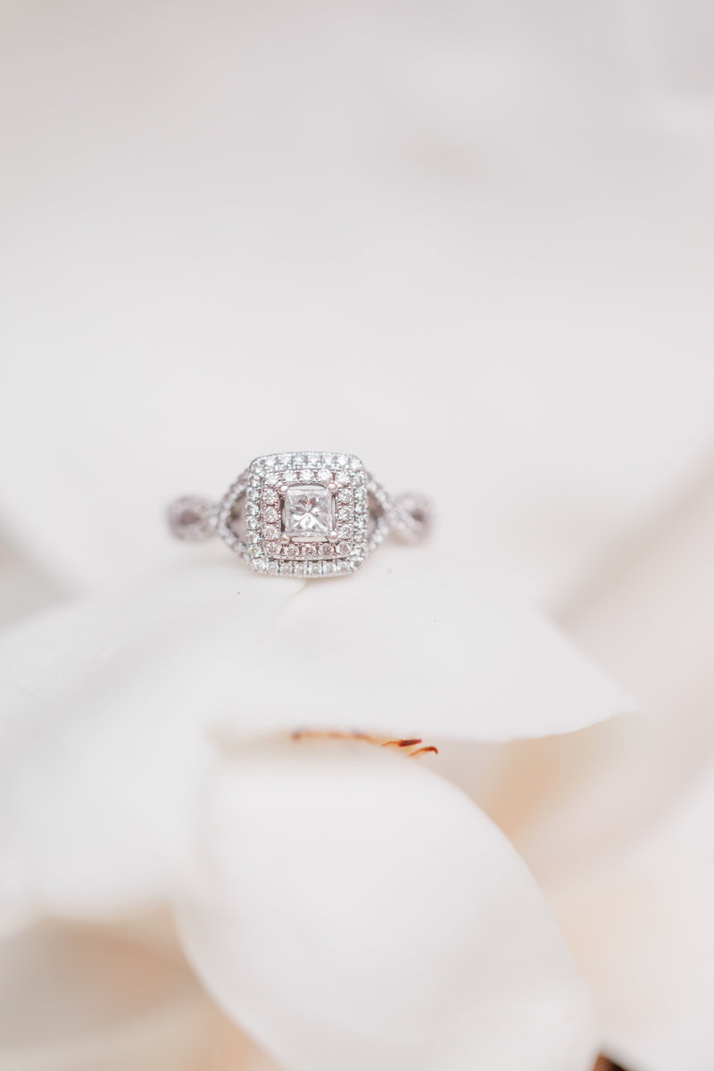 Jennifer B Photography-Sandhills Gardens-Caleb & Laura-Engagement Session-2019-0196