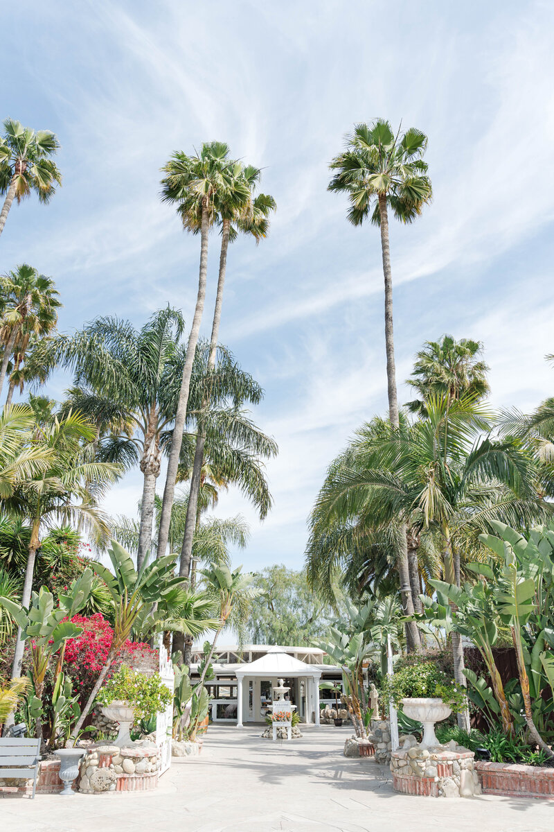 andrea-silva-photography-califorina-georgia-weddings-megan-arthur-rancho-de-la-palmas5