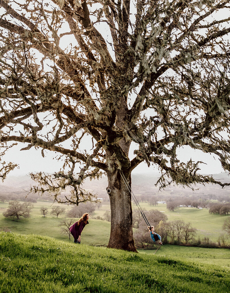Mom pushing daughter on swing in large oak tree in Bay Area hills