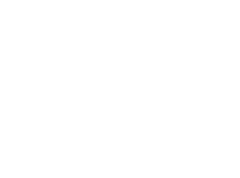 Illustration of a leaf