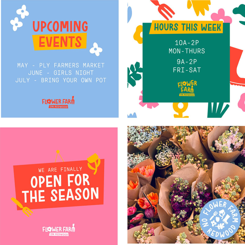 Social media graphic templates for upcoming events and scheduling for flower farm on redwood
