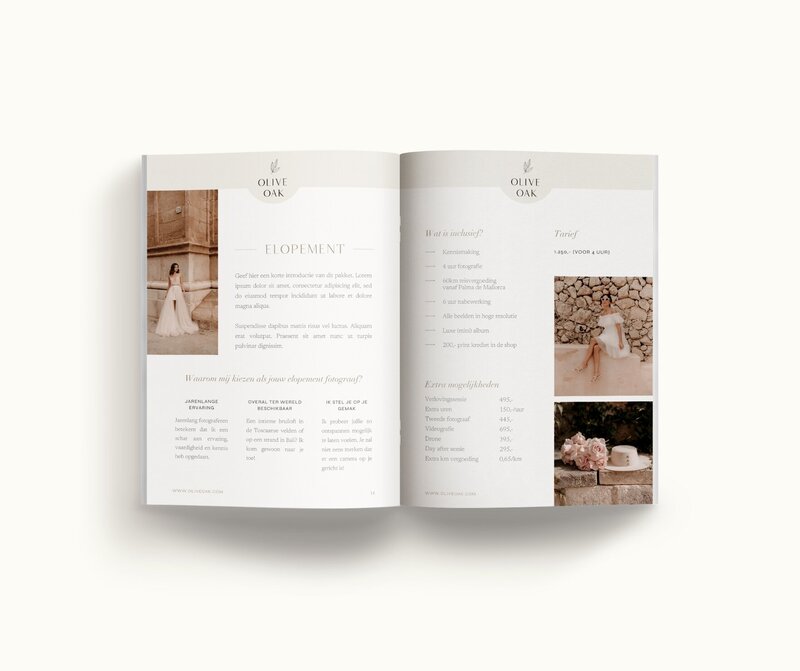 Canva brochure template Olive Oak 7