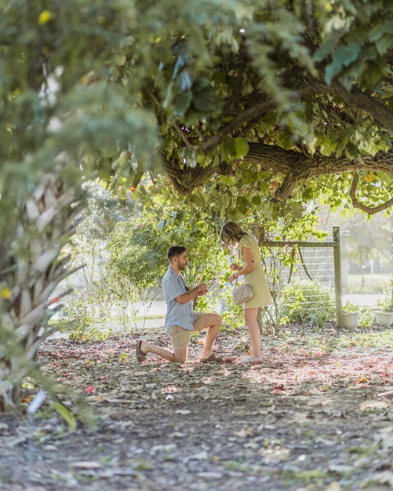 Man proposing under a canopy of trees