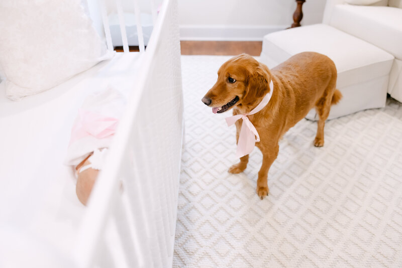 kelsee-risler-photography-new-york-newborn-photographer-in-home-buffalo-sophia-plaister-newborn-121