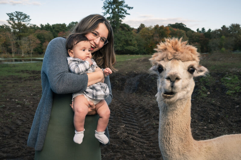 Mom with baby laughing at an alpaca having a fun photo session