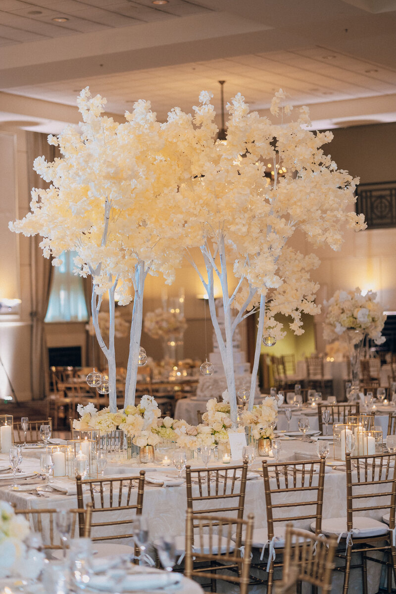 Reception-21
