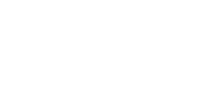 the turquoise camera logo