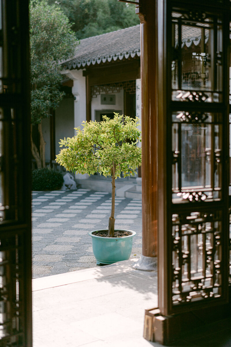 A refined editorial inspired by the timeless beauty of the roses for Lunar New Year, set against the historic gardens of The Huntington Library in San Marino, California. Infused with rich cultural heritage and modern sophistication, this shoot captures the harmony of tradition and luxury through an artful, editorial lens. Photographed by Michael Asmussen, an internationally recognized top destination wedding photographer specializing in luxury celebrations. Discover more of Michael’s work in Palm Springs, Los Angeles, Japan, Las Vegas, Seoul, and beyond