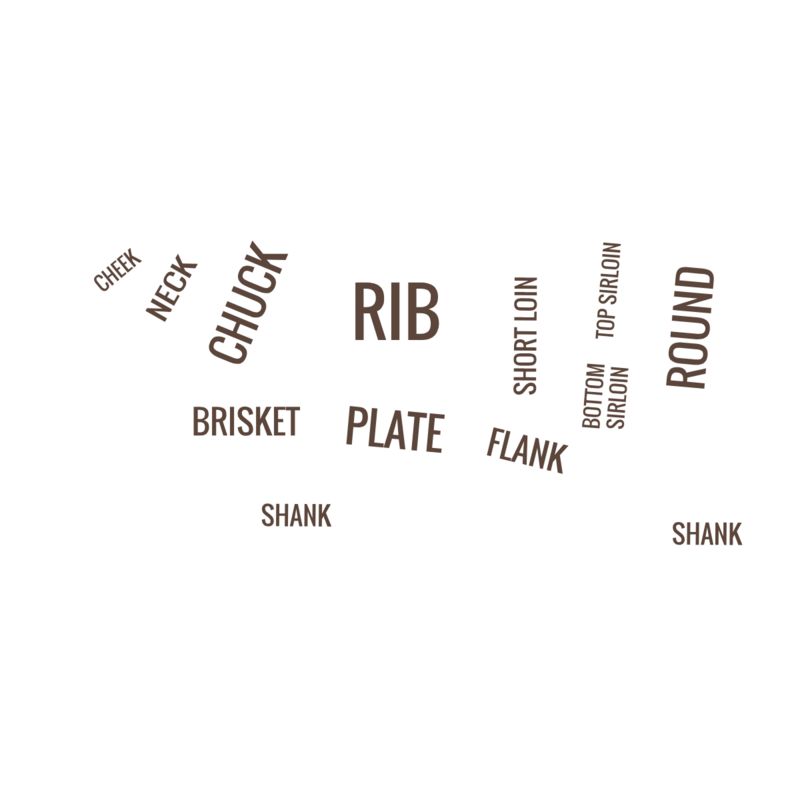 a cow graphic displaying the cuts