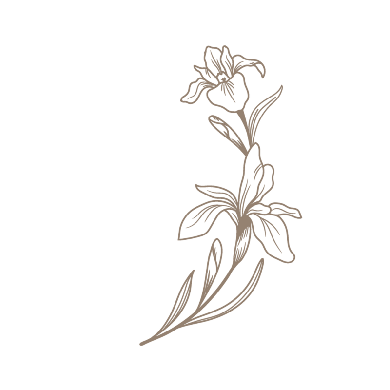 Floral Logo Illustration Blair Elizabeth Co