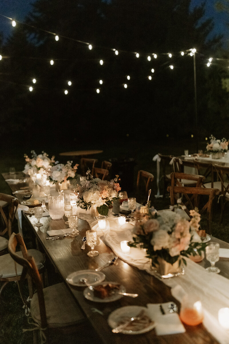 illinois chicago backyard intimate wedding northwest indiana photographer videographer film documentary lisle hyatt regency hotel charles-90