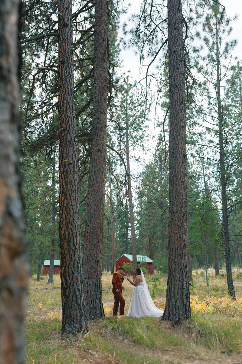 oregon_forest_wedding-32