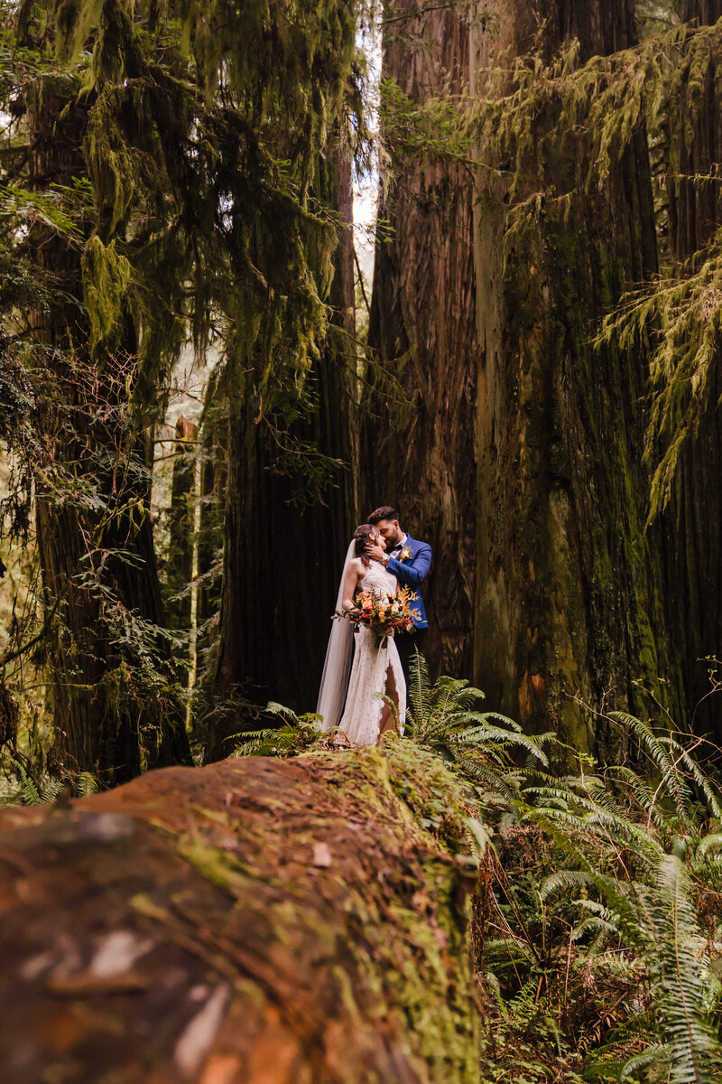 california-redwoods-elopement-sydney-and-ryan-4