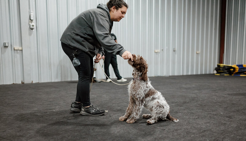 10085983400.jpg_exif1