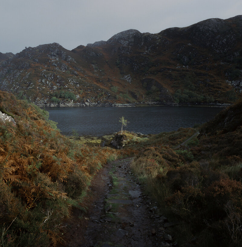 Eilean-shona-wedding-35mm-film-Alexa-Alex-Briars-Atlas-4411