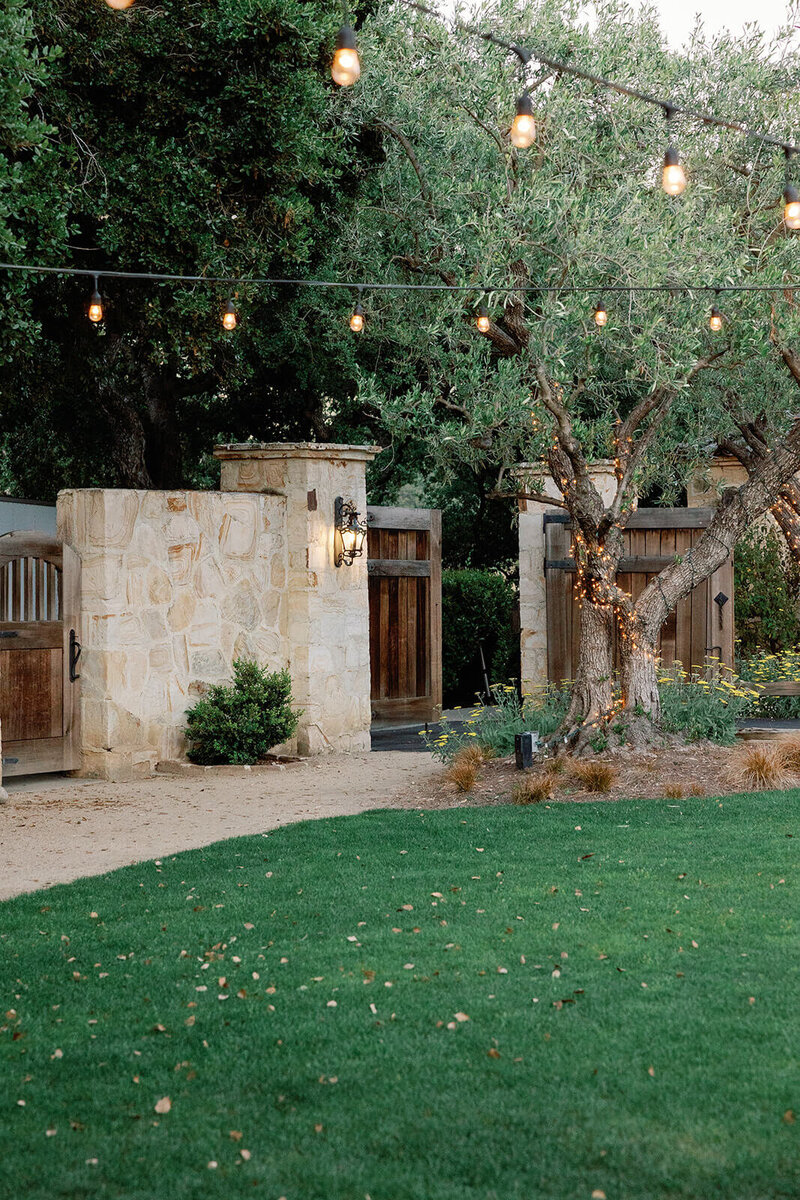 holman-ranch-carmel-valley-wedding-12 - Melissa Ergo Photography - Santa  Cruz Wedding Photographer, image size:800x1200