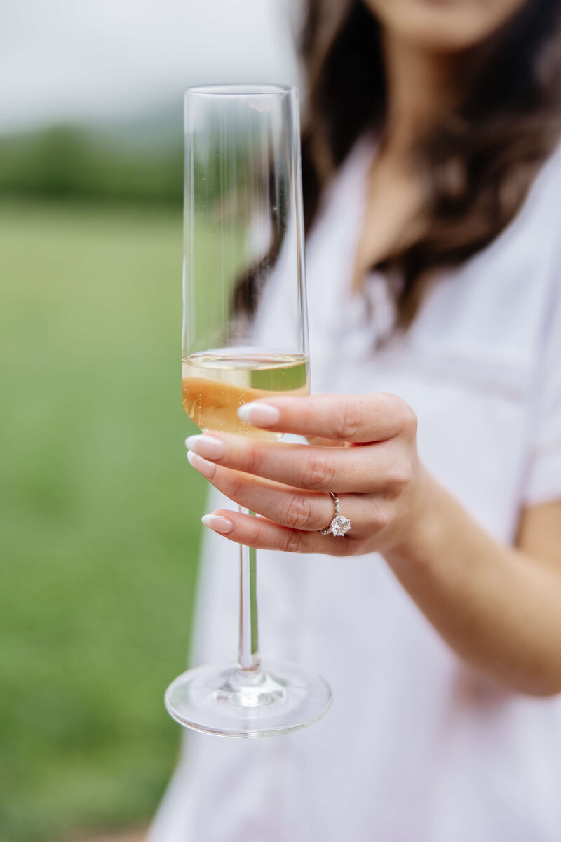 Estate at River Run Wedding Videographer