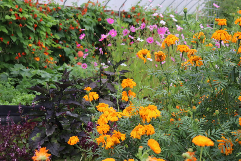 Humboldt-based soil company