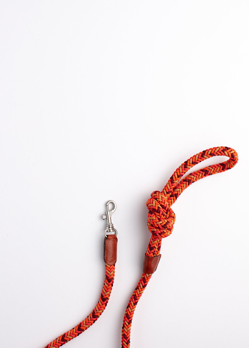 Red dog leash against white background