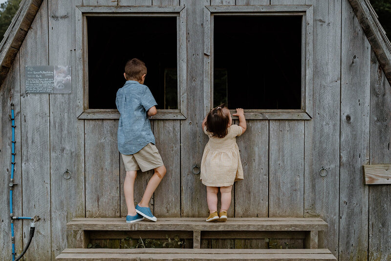 shaw-shelburne-farms-allison-macy-photography-115_websize