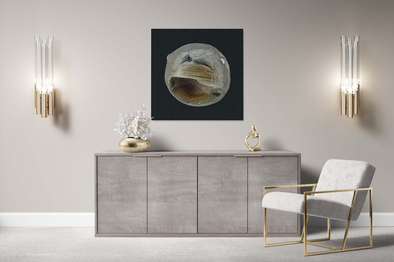 Fine Art Canvas featuring Project Stardust micrometeorite NMM 2365 for luxury interior design