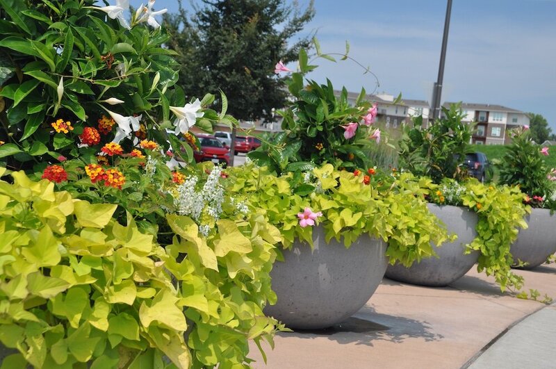 Commercial landscape company project in Kansas City