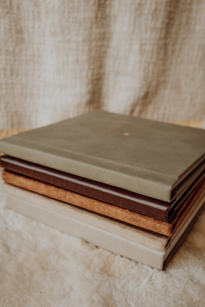 DemoAlbums (7 van 11)