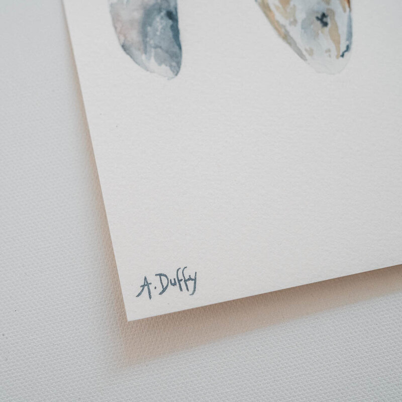 Signature of artist Amy Duffy on a painting of mussel shells