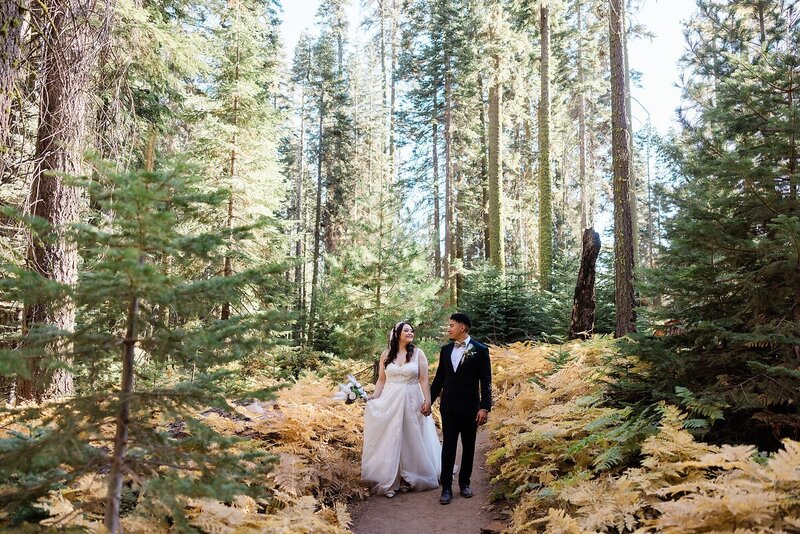 A bride and groom walk along a forest trail with changing colors and ferns during their Sequoia elopement.