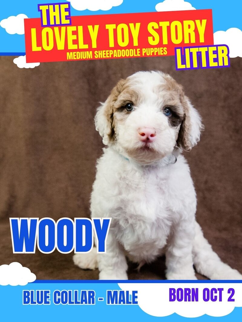 Toy Story - Blue Woody Male