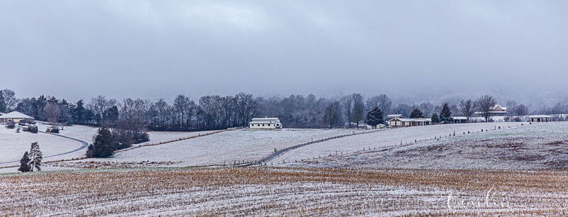 147460040_10223942670381860_859371446622088538_n