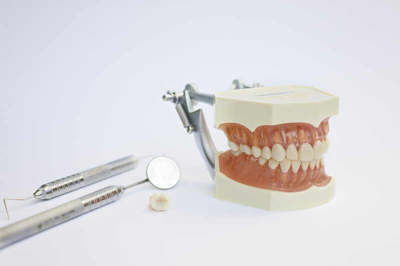 dental probe with set of fake teeth