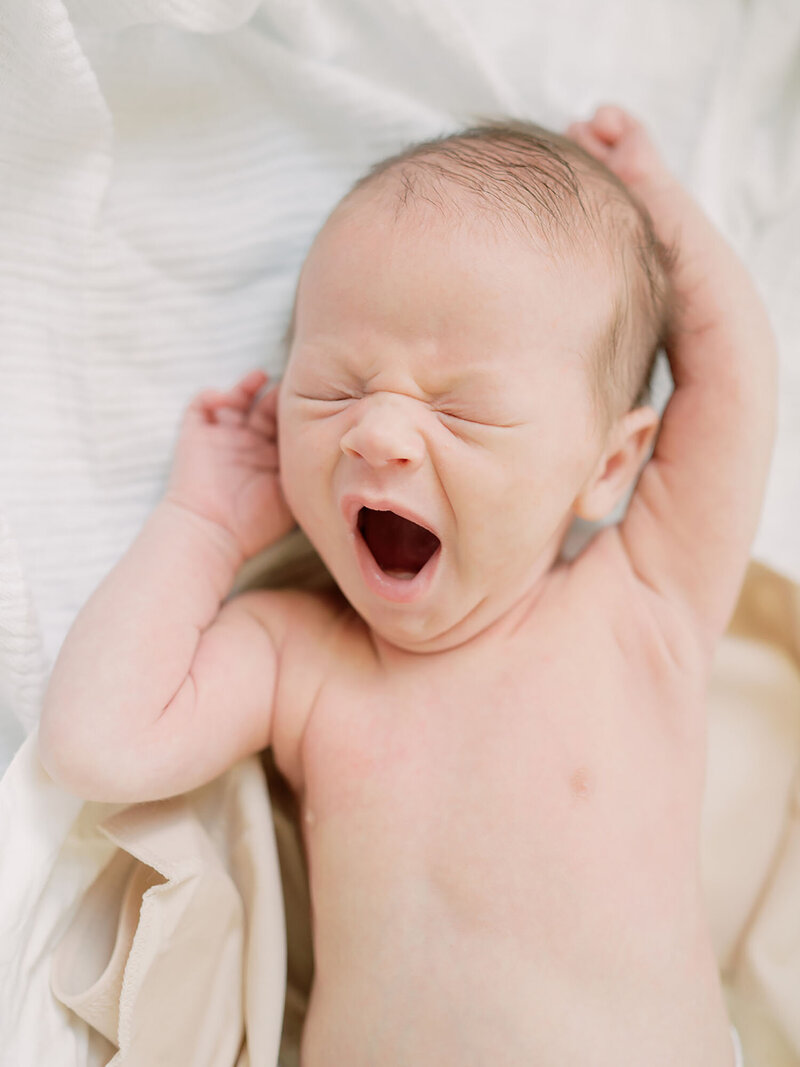 a yawning newborn during a San Antonio Newborn Photography session by Teressa Jane