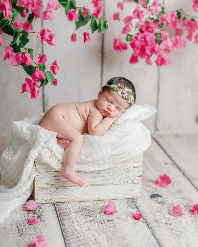 Bébé Newborn, pose et mise en scène avec fleurs roses