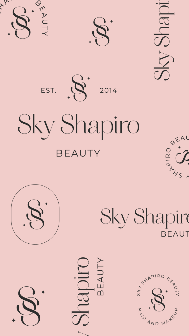 Sky Shapiro Launch Graphics-41