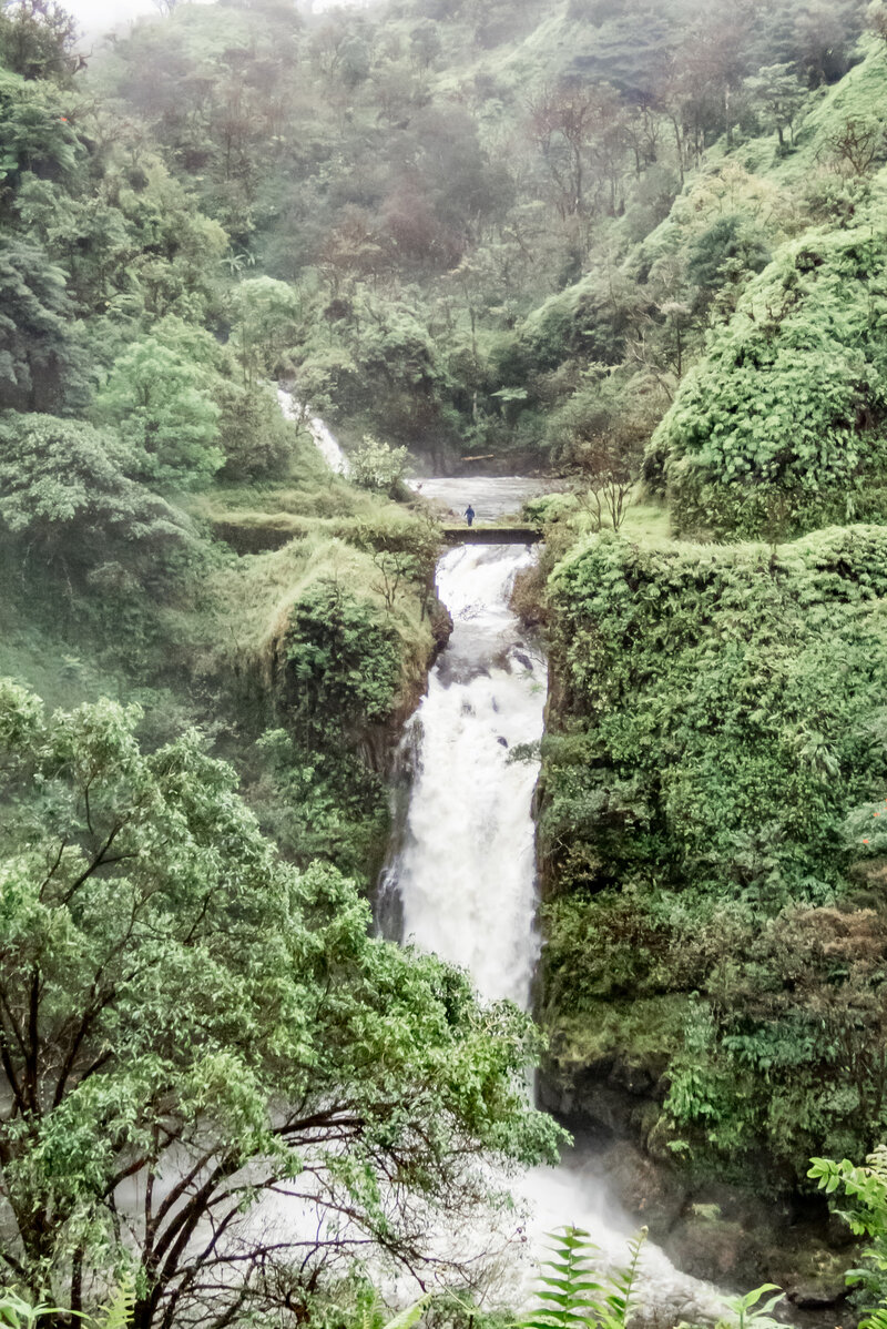 business coach for women exploring Hawaii
