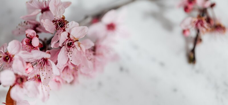 Woman in exercise clothing throws orange fabric alongside the beach.