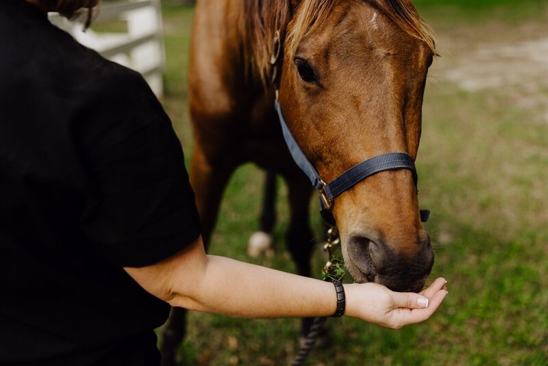 Mobile integrative veterinary care South Carolina_Burkett Veterinary Services 