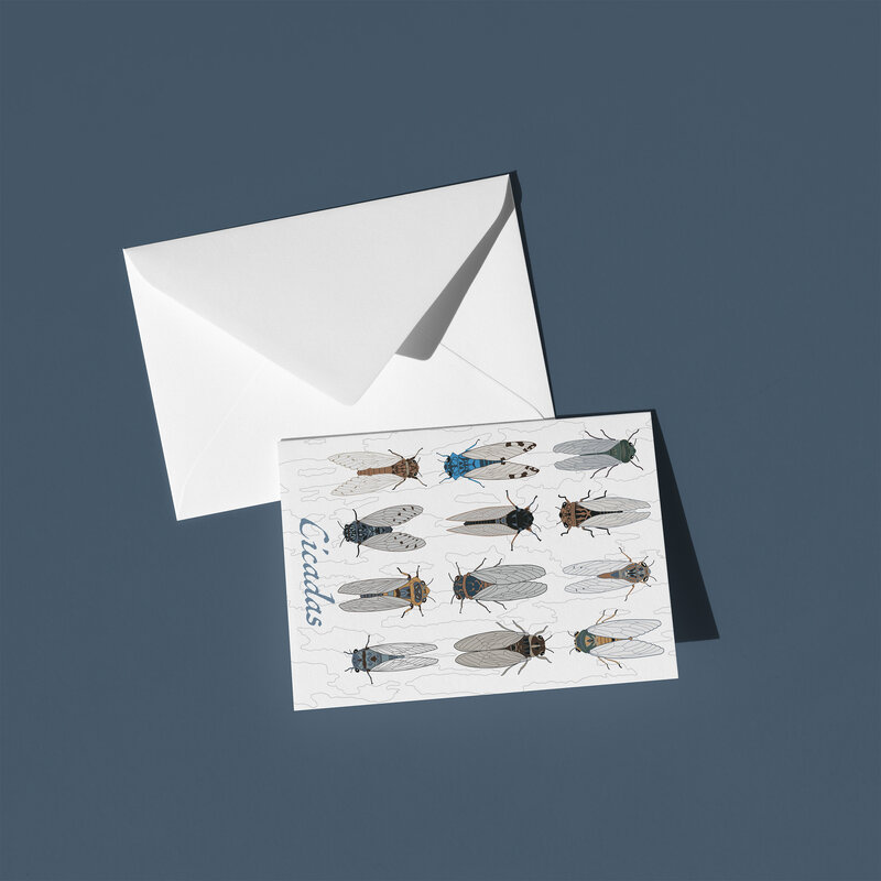 These A6 blank cards are perfect for sending a thoughtful note or simply keeping in your stationery drawer for special moments. Each card showcases a unique hand-drawn design - cicadas - by Green Acre Designs.